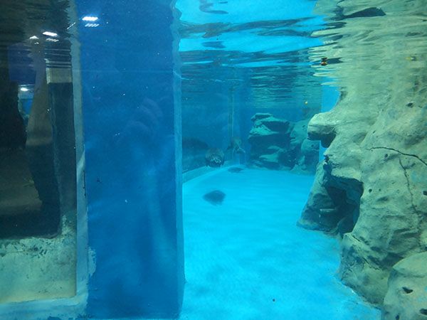 水族馆设计建设工程